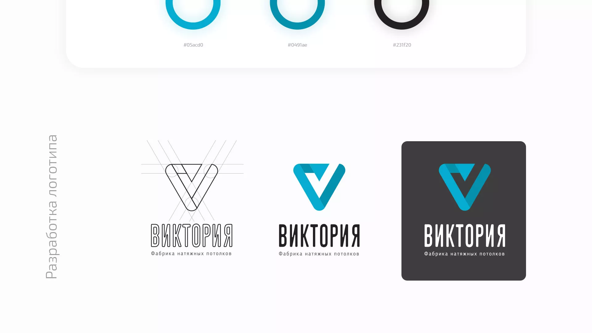 Разработка фирменного стиля компании по продаже и установке натяжных потолков в Шарье