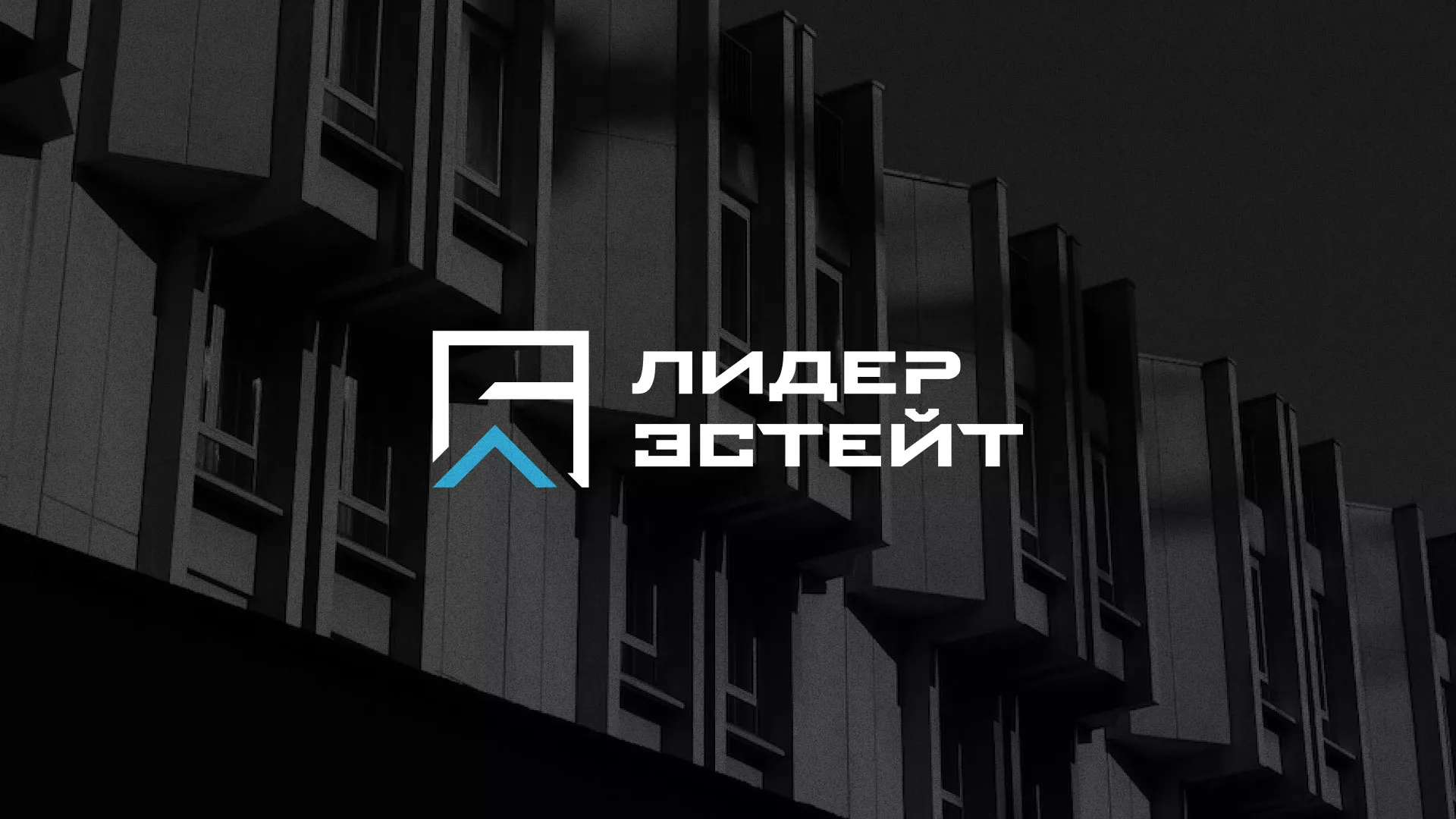 Разработка логотипа агентства недвижимости «Лидер Эстейт» в Шарье